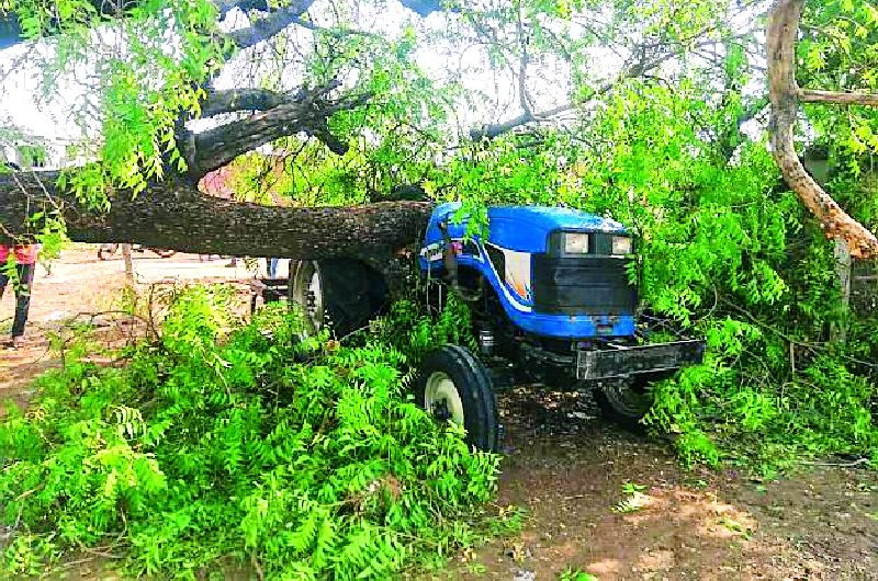 Cyclone hits Dhanegaon area | धनेगाव परिसराला चक्रीवादळाचा तडाखा