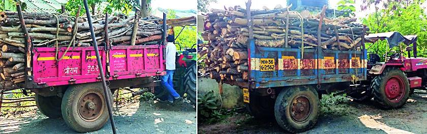Illegal slaughter of trees in Jawaharhanagar area | जवाहरनगर परिसरात वृक्षांची अवैध कत्तल