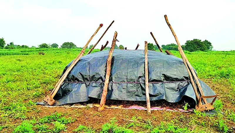 The rains have raised concerns among farmers in the district | पावसामुळे जिल्ह्यातील शेतकऱ्यांची चिंता वाढली