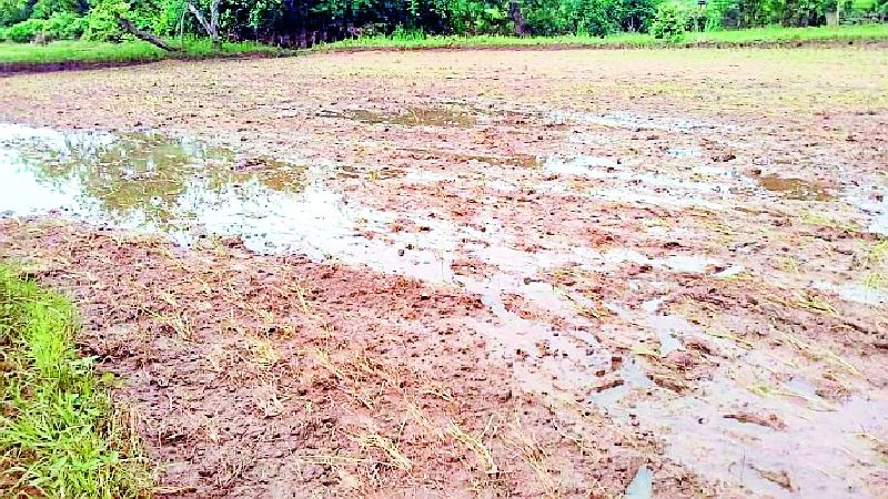 The rain brought water to the eyes of the farmers | अतिवृष्टीने शेतकऱ्यांच्या डोळ्यात आणले पाणी