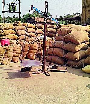 Paddy procurement declined by 12 percent | १२ टक्क्यांनी धान खरेदी घटली