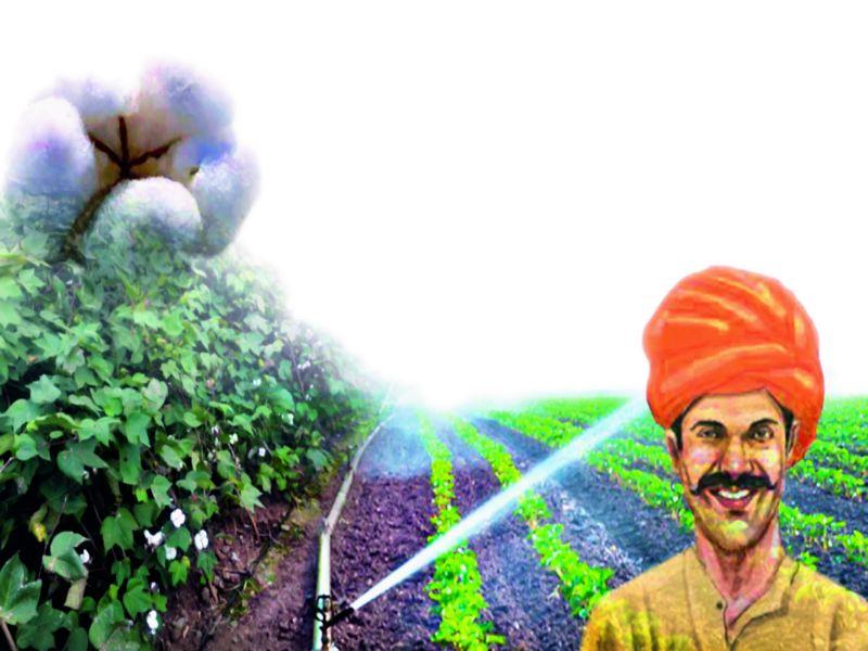 Kharip Tarla on bharmit irrigation | श्वाश्वत सिंचनावरीलच खरीप तरला