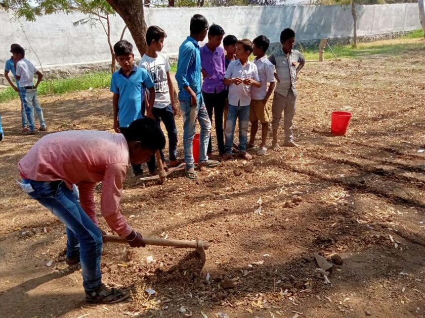Parasbagh in 5 schools through a clean program | स्वच्छ उपक्रमातून १०० शाळांमध्ये परसबाग