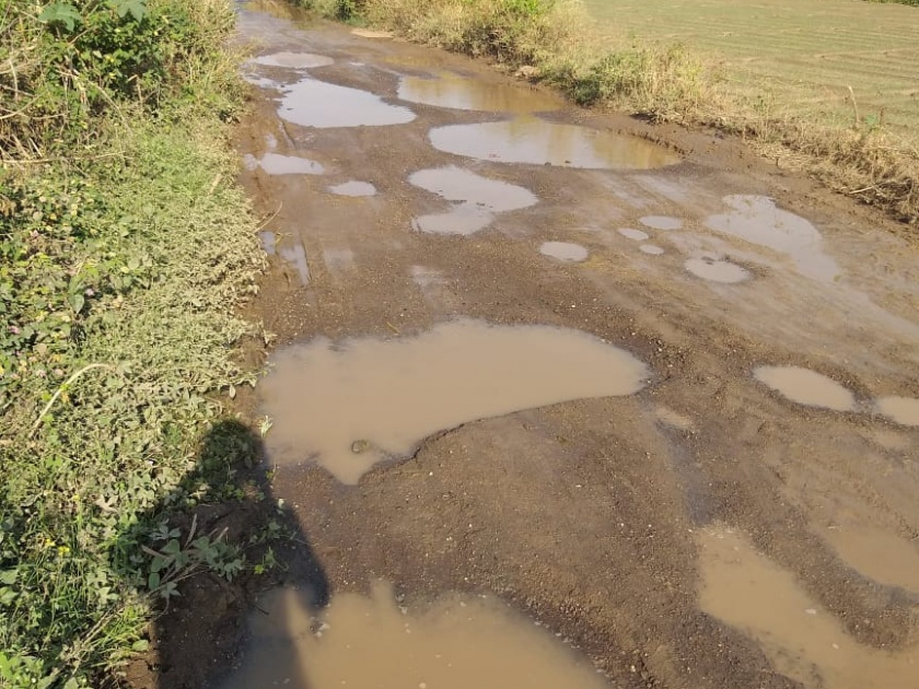  The main road to Virgaon awaits repairs | विरगावचा मुख्य रस्ता दुरुस्तीच्या प्रतीक्षेत