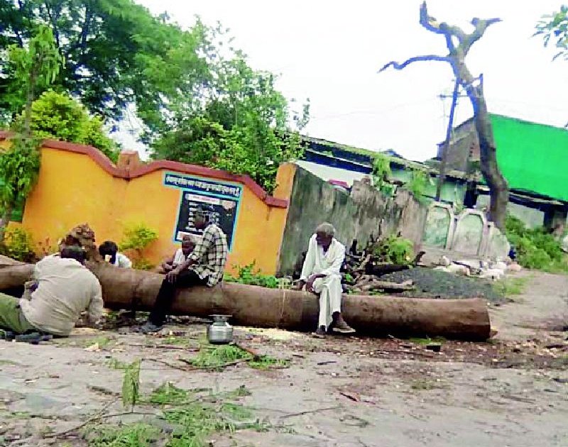 Illegally broke unprivileged tree | अवैधरीत्या विनापरवानगी तोडले झाड