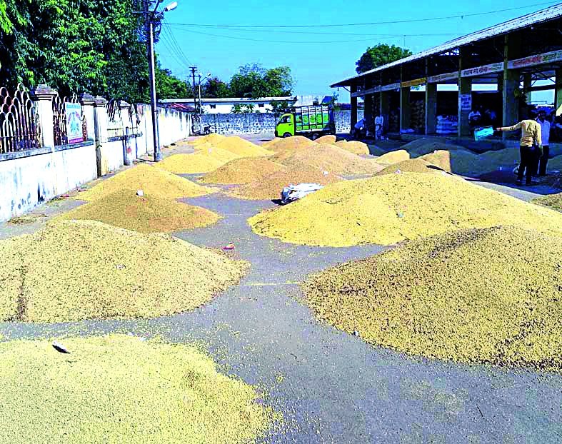 Sowing of 3.50 lakh quintals of soyabean | ३.५० लाख क्विंटल सोयाबीन व्यापाऱ्यांच्या झोळीत
