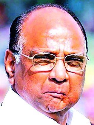 How much will the power to fill Pawar in the cold-blooded camp? | थंडावलेल्या खेम्यात पवार किती भरणार ऊर्जा?