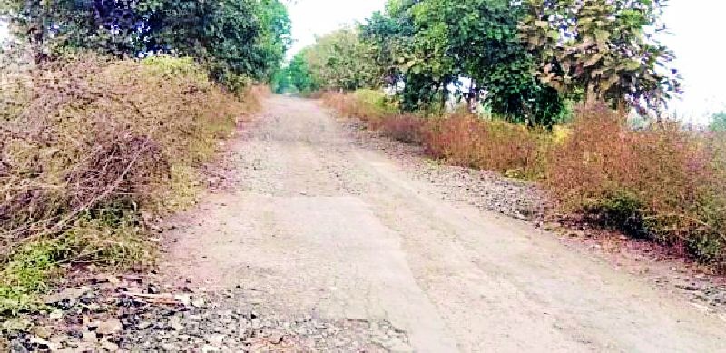 Mudana-Gaul road invites accident | मुडाणा-गौळ रस्ता देतो अपघाताला निमंत्रण