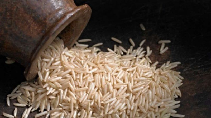 Nutritional Rice to Provide Gadchiroli District to the Malnutrition-affected Districts | राज्यभरातील कुपोषणग्रस्त जिल्ह्यांना गडचिरोलीतून पुरविणार पोषक तांदूळ