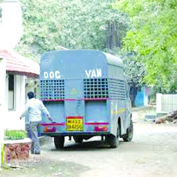 To control dogs, 'Dog van' in every zone of Nagpur | कुत्र्यांवर नियंत्रणासाठी नागपुरात प्रत्येक झोनमध्ये ‘डॉग व्हॅन’