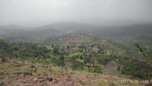 Filed a complaint of forest land at Chandora | चांदोरा येथे वनजमिनी लाटल्याची तक्रार दाखल