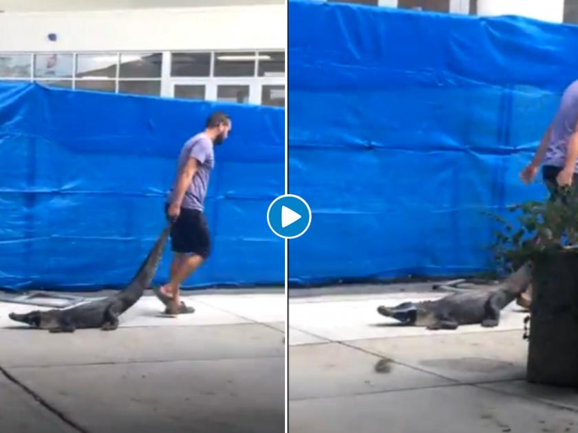 Man drags alligator out of School in Florida US students shouting in viral video | अचानक शाळेत मगर घुसली अन् विद्यार्थ्यांची भंबेरी उडाली; धाडसी युवक पुढे सरसावला आणि...