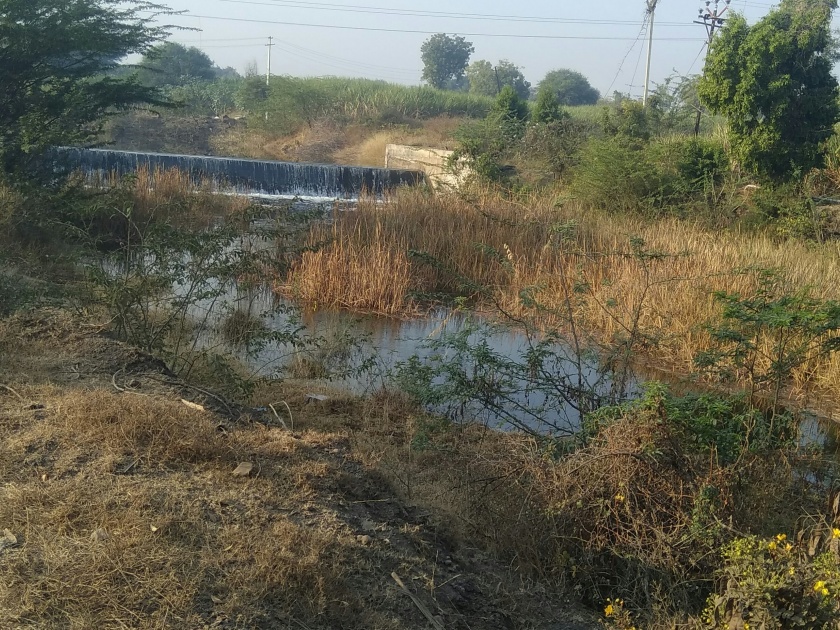 Water and Village Resource Solutions in Mulikwadi Dam in Balakvadi Canal | बलकवडी कालव्यातून मुळीकवाडी धरणात पाणी, ग्रामस्थांत समाधान