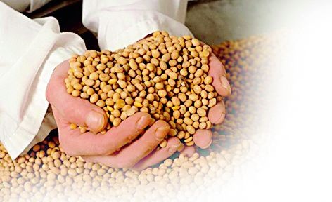 Increase in soybean prices for the first time | प्रथमच सोयाबीनच्या दरात वाढ