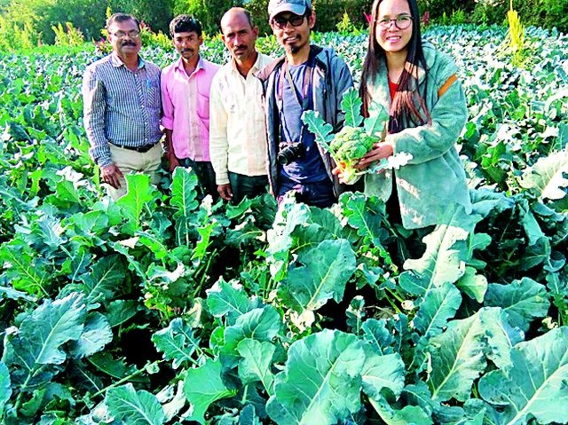 Bhandara's food attraction to foreign vegetable growers | विदेशी भाजी उत्पादकांना भंडारातील शेतीचे आकर्षण