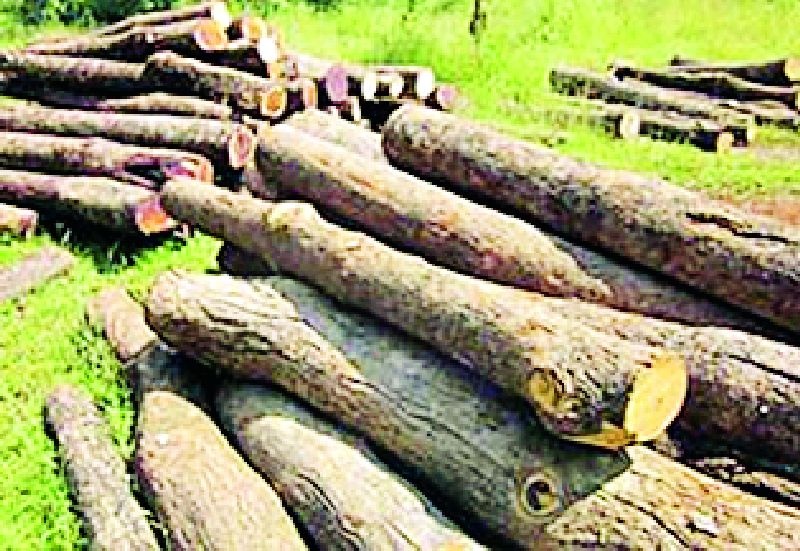 Wood donation from citizens of Bhaadravati Municipal Corporation for cremation of citizens | नागरिकांच्या अंत्यविधीसाठी भद्रावती नगरपालिकेकडून लाकडाचे दान