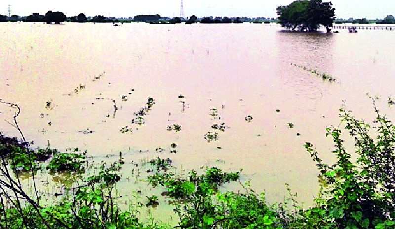 Due to flooding hundreds of hectare crops on the crushing path | पुरामुळे शेकडो हेक्टरवरील पिके कुजण्याच्या मार्गावर