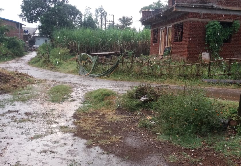 Heavy rain in Bhudargad taluka | भुदरगड तालुक्यात जोरदार पाऊस