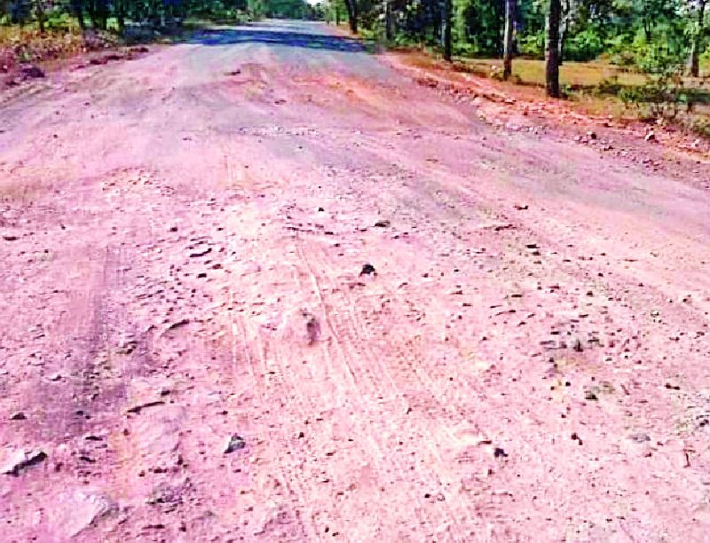 Dirt roads are made of soil | डांबरी रस्ते झाले मातीमय