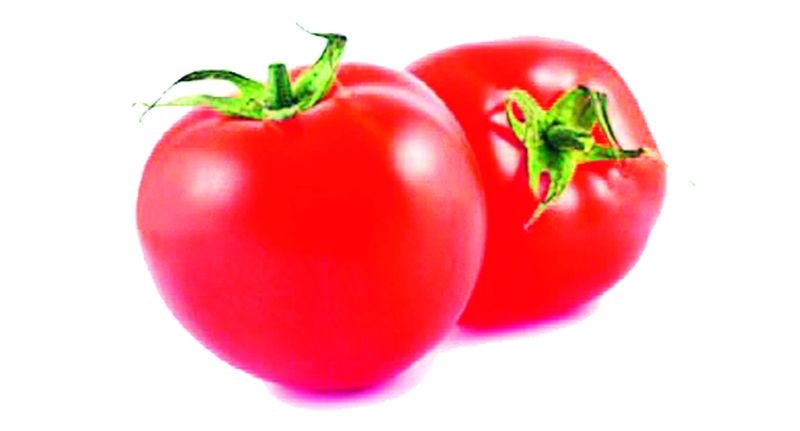 In the city of Gadchirali, tomatoes are sold at Rs | गडचिराेली शहरात टोमॅटो पाेहाेचले १०० रुपयांवर