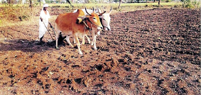 Sowing of 1 lakh 91 thousand hectares avoided | १ लाख ९१ हजार हेक्टरमधील पेरण्या खोळंबल्या