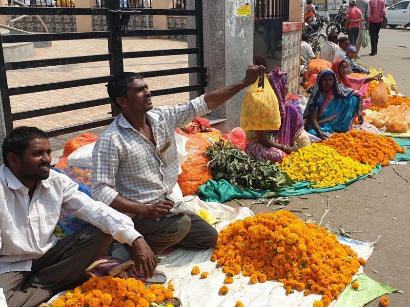  Selling marigold flowers at Hingoli Kavidimol | हिंगोलीत कवडीमोल दराने झेंडूच्या फुलांची विक्री