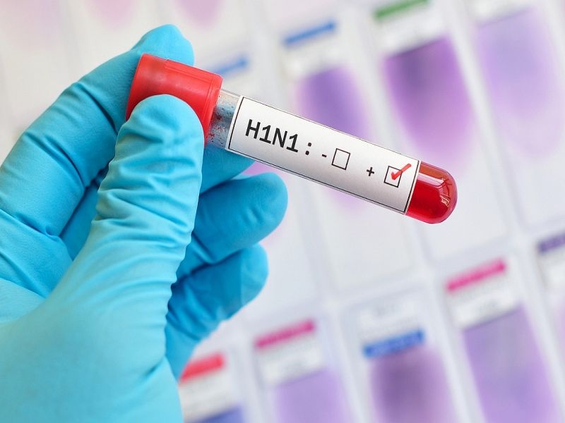 Swine Flu Crisis in Nashik along with Corona | नाशिकमध्ये कोरोनाबरोबरच स्वाईन फ्ल्युचे संकट