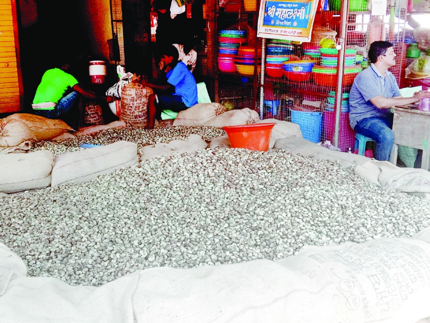 Cashew price reduction, farmers in financial crisis: Ten rupees difference in eight days | काजू खरेदी दरात घट, शेतकरी आर्थिक संकटात