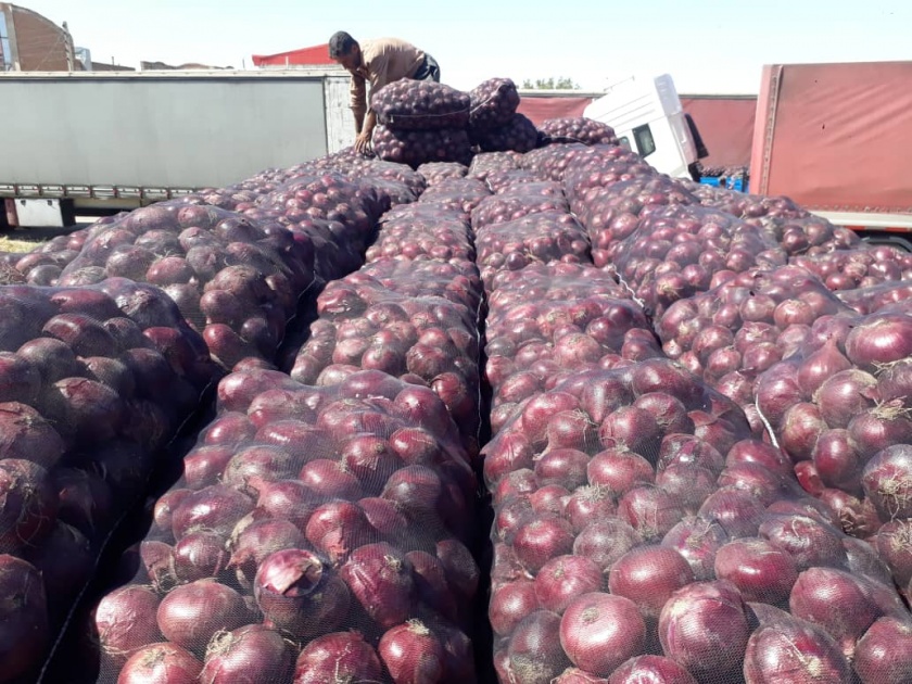 Afghan onion arrives in India | अफगाणस्तिानचा कांदा भारतात दाखल 