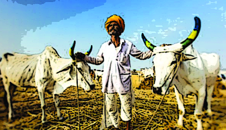 3 farmers own crop insurance in the district | जिल्ह्यात ६७६ शेतकऱ्यांचाच पीक विमा