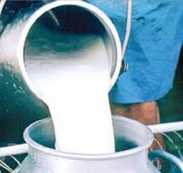 Dairy farmers in trouble | दूध उत्पादक शेतकरी अडचणीत