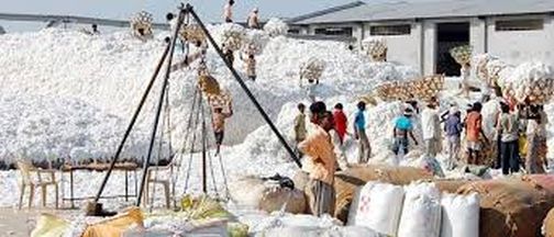 Taloda market committee's proposal for cotton procurement center is pending | तळोदा बाजार समितीच्या कापूस खरेदी केंद्राचा प्रस्ताव प्रलंबित