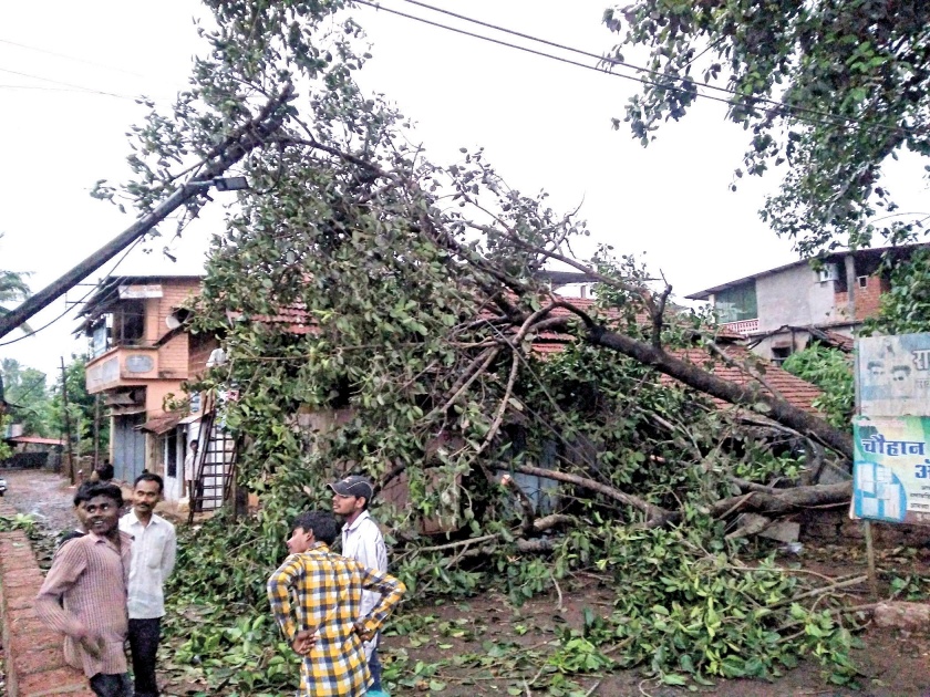 Sindhudurg: Mahavitaran hit storm, rain damaged in Kankavali: Five power sub-stations hit | सिंधुदुर्ग : महावितरणला वादळाचा तडाखा, कणकवलीत बरसला पाऊस : पाच वीज उपकेंद्रांना फटका