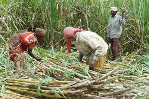 Workers will not go out without corona insurance; Determination of sugarcane workers | "आरोग्याची हमी मिळत नसेल तर कोणीही जीव धोक्यात घालणार नाही..."