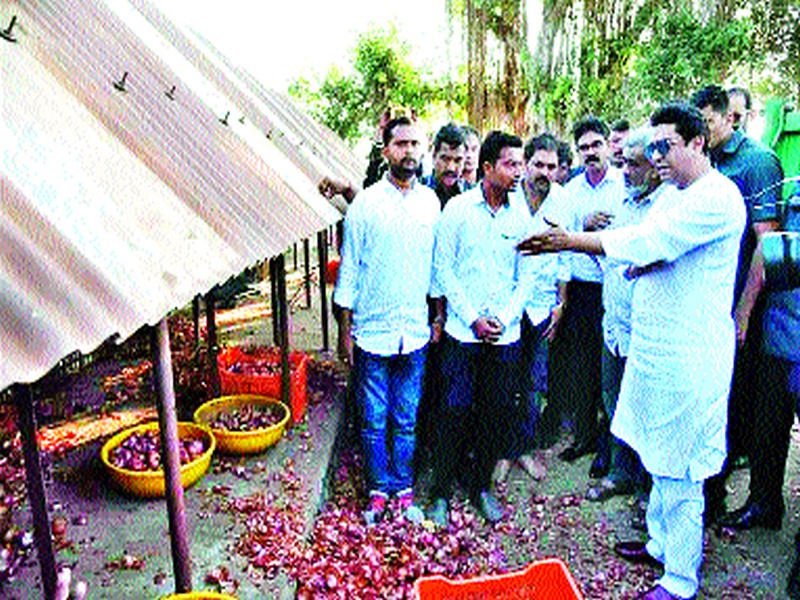  Raj Thackeray says ministers thrown onions! | राज ठाकरे म्हणतात,  मंत्र्यांना कांदे फेकून मारा!