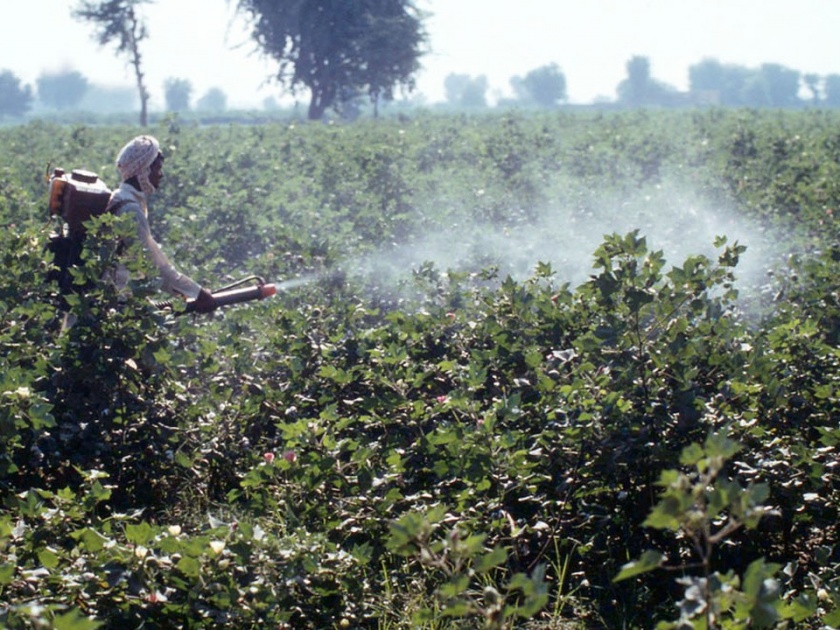 Death of the farmer while spraying pesticides in Amravati district | अमरावती जिल्ह्यात कीटकनाशकाची फवारणी करताना शेतमजुराचा मृत्यू