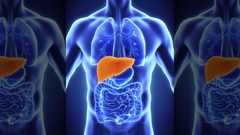 Transplantation of kidney and liver in Nagpur | नागपुरात मूत्रपिंड, यकृताचे एकाच रुग्णावर प्रत्यारोपण