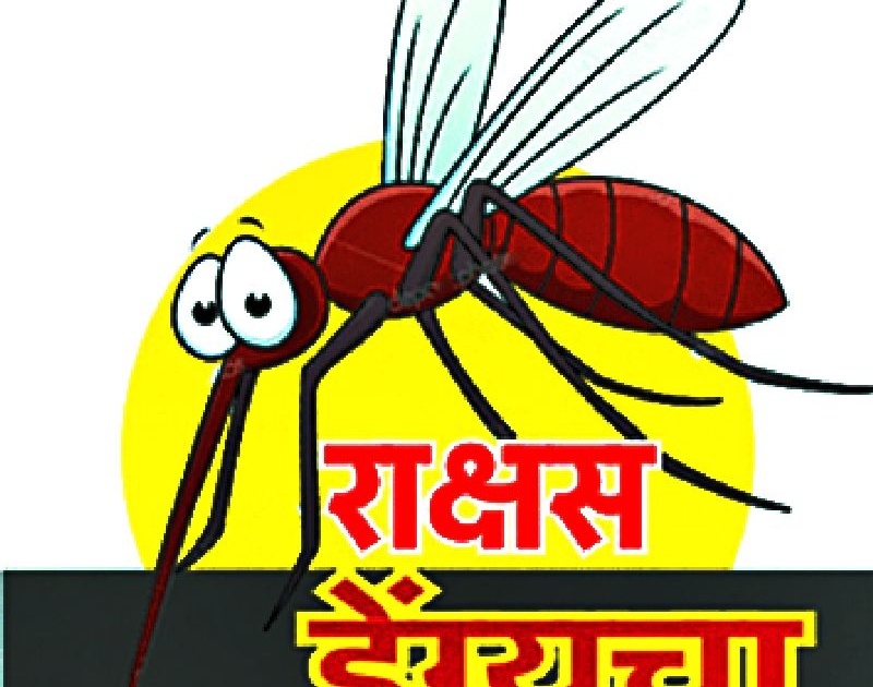 513 suspected dengue in 17 days | १७ दिवसांत ५१३ डेंग्यू संशयित