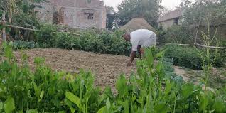 Shortage of agricultural labor in Godakath area | गोदाकाठ परिसरात शेतमजुरांचा तुटवडा