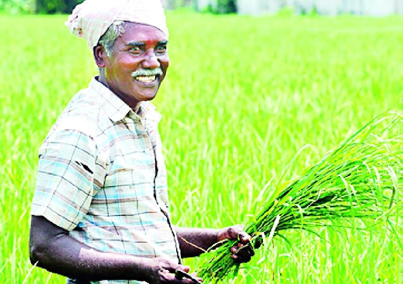 Now the Prime Minister's Kisan Honor Yojana for farmers | शेतकऱ्यांसाठी आता प्रधानमंत्री किसान मानधन योजना