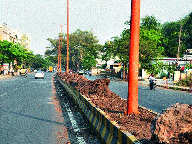Trash piles in road dividers | रस्ता दुभाजकांमध्ये कचऱ्याचे ढीग