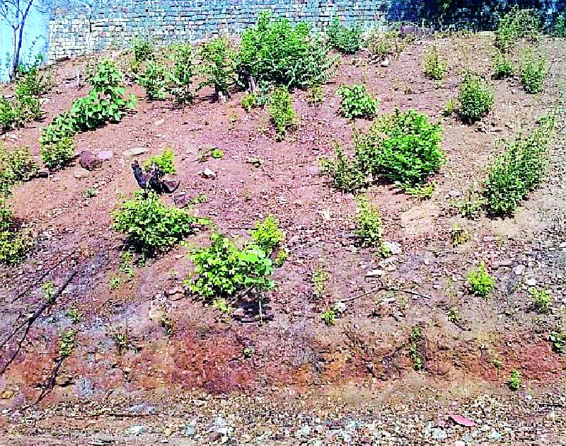 Khodakam threatens historic hill in Vairagarh | खोदकामाने वैरागडातील ऐतिहासिक टेकडीला धोका