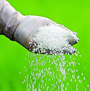 19 percent fertilizer samples came bogus! | १९ टक्के खतांचे नमुने निघाले बोगस!