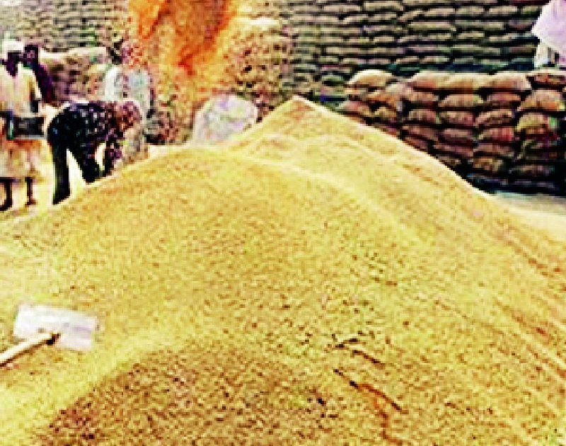 Paddy arrivals declined in the Market Committee | बाजार समितीत धानाची आवक घटली
