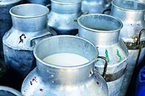 Dairy is the basis for 'Handicrafts' | दुग्ध व्यवसायाने ‘हस्तकला’स मिळाला जगण्याचा आधार