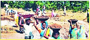 448 Gram Panchayats wait for MGNREGA work | ४४८ ग्रामपंचायतींना मनरेगाच्या कामांची प्रतीक्षा