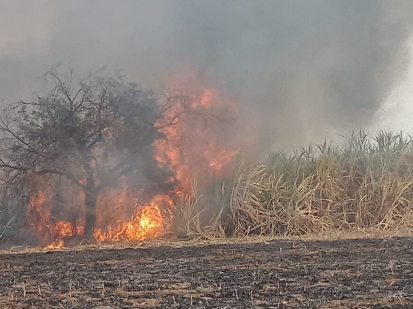 11 acre sugarcane burned in fire | दुष्काळात तेरावा; ११ एकर ऊस खाक
