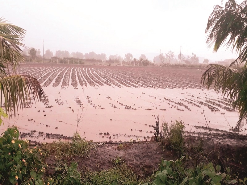 Rainfall come in district: benefit Kharif crops | जिल्ह्यात पाऊस परतला : खरीप पिकांना संजीवनी