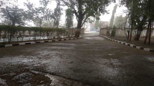 Monsoon showers in Sangli district | सांगली जिल्ह्यात पावसाच्या तुरळक सरी