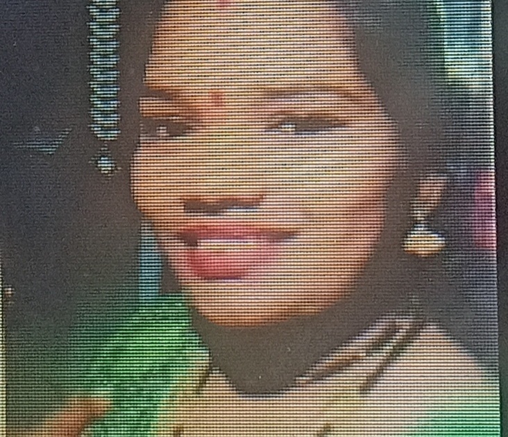 Woman missing with three children from Manjargaon | मांजरगाव येथून तीन मुलांसह महिला बेपत्ता